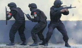 武装特警在线观看,生死较量，在线激战一触即发